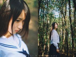 迷踪林在线视频,探寻神秘森林的惊悚之旅