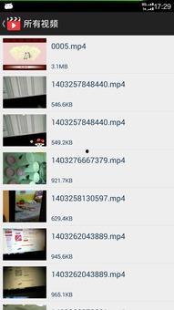 肥网站在线视频播放器,轻松畅享海量影视资源