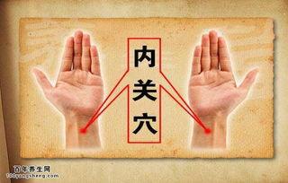 脱肛在线视频巨大