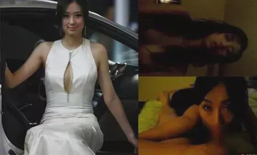 欧美兽兽视频在线视频,揭秘动物世界的激情瞬间