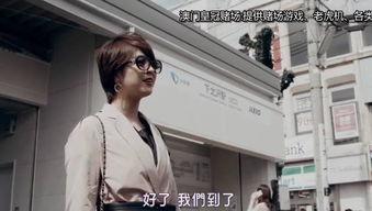 岛国视频午夜在线视频,揭秘在线视频的神秘世界