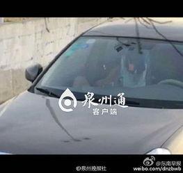 97车震在线视频