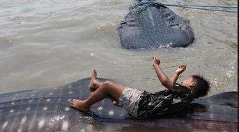 巨物黑吊在线视频,一场视觉与心理的双重震撼之旅